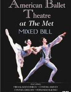 American Ballet Theatre at the Met