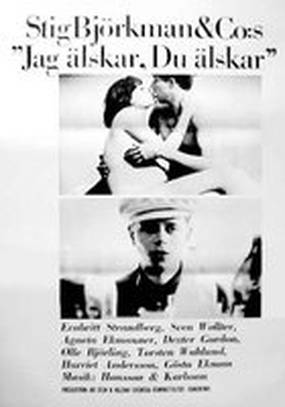 Jag älskar, du älskar