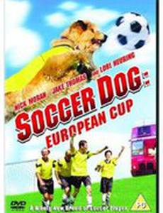 Король футбола: Кубок Европы