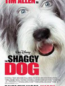 Лохматый папа