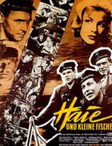 Акулы и мелкие рыбешки