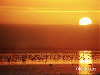 Кадр Планета Земля