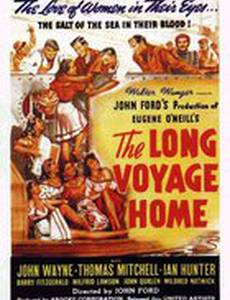 Долгий путь домой