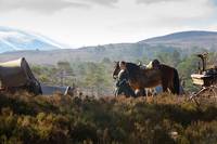 Кадр Чужестранка