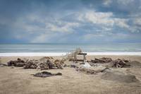 Кадр Ганнибал