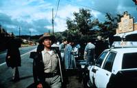 Кадр Природа зверя