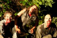 Кадр Земля вампиров