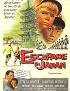 Японская авантюра