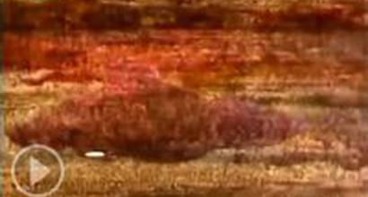 Мультфильм 