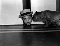 Кадр Приятное сумасшествие