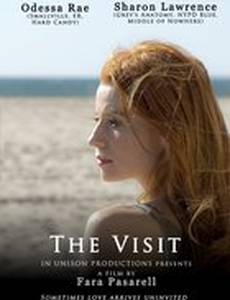 The Visit