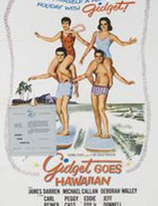 Gidget Goes Hawaiian