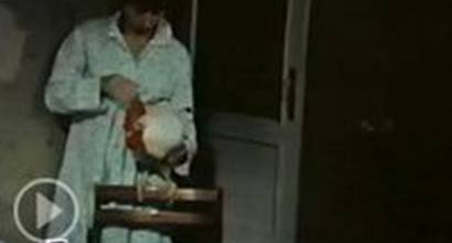 Мультфильм 