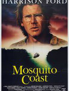 Берег москитов