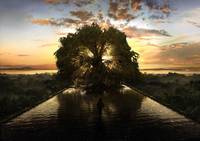 Кадр Фонтан