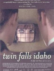 Близнецы из Айдахо