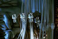 Кадр Жизненная сила