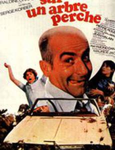 На древо взгромоздясь