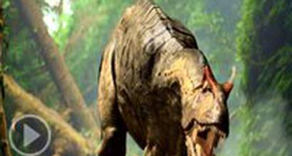 DVD-трейлер (сезон 1)