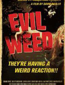 Злая травка