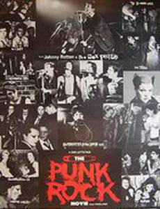 The Punk Rock Movie