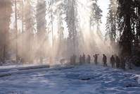 Кадр Польская сибириада