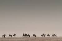 Кадр Черное золото