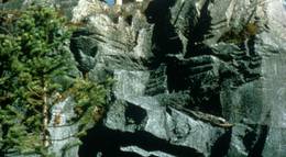 Кадр из фильма "Белый клык 2: Легенда о белом волке" - 1