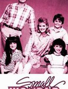 Small Wonder