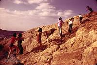 Кадр Бутон розы