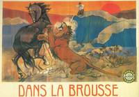 Постер Dans la brousse