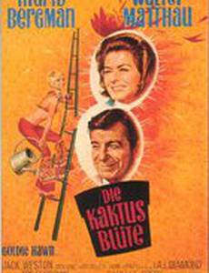 Цветок кактуса