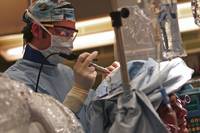 Кадр Анатомия страсти