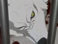 Кадр Волчий дождь