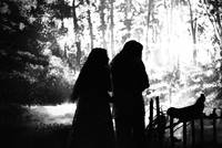 Кадр Независимость