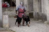 Кадр Мерлин