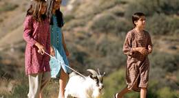 Кадр из фильма "Silk" - 1