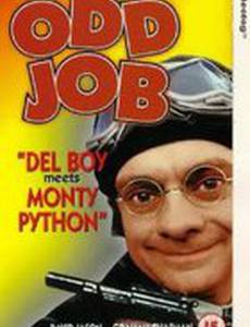 The Odd Job