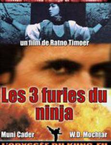 Месть ниндзя