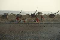 Кадр Цветок пустыни