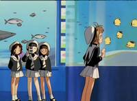 Кадр Сакура – собирательница карт