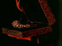 Кадр Юнона и Авось