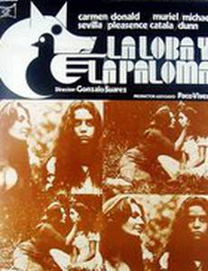 Волк и голубь