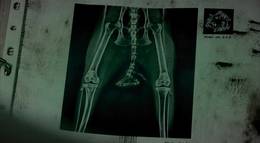 Кадр из фильма "Хвост" - 1