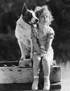 The Pie-Covered Wagon