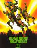 Постер из фильма "Черепашки-ниндзя 3" - 1