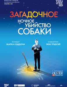 Загадочное ночное убийство собаки