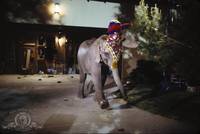 Кадр Сумасшедший дом