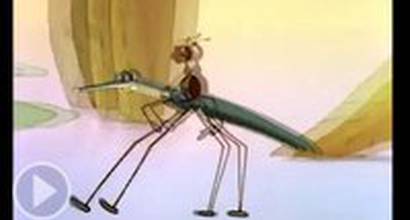 Мультфильм