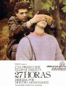 27 часов